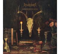 Aether Realm - Redneck Vikings From Hell
