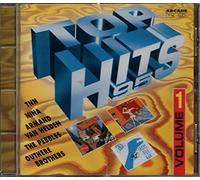 REDNEX / E-ROTIC / NINA / HERMES HOUSE BAND / TNN ETC... - TOP HITS 95 VOL 1