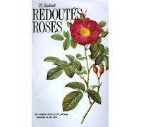 Redoute's Roses
