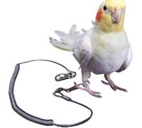 RedParrot Anti-fly bird cord | Pet friendly | Parakeet | Birdcage | Bird chain (3m)