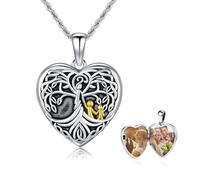 REDSUN Heart Locket Necklace 925 Sterling Silver Butterfly Photo Chain Crystal Blue/Pink/Rose Red Amulet for Women Photos Personalised Pendant Gifts for Girlfriend Wife Mother, Sterling Silver