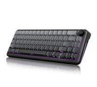 RedThunder K65 Wireless Gaming Keyboard, 67 Keys US QWERTY, BT/2.4GHz/USB-C, RGB, 5-Layer Attenuation, Hot-Swap, 4000mAh, Compatible with Windows, Mac, Xbox, PS4/PS5