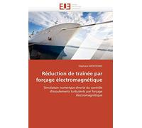 Réduction de traînée par forçage électromagnétique: Simulation numérique directe du contrôle d'écoulements turbulents par forçage électromagnétique (Omn.Univ.Europ.)