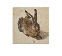 RedVos Young Hare,1502 Poster by Albrecht Dürer Artworks Canvas Room Aesthetic Wall Art Prints Home Modern Decor Gifts 16x16inch(40x40cm)