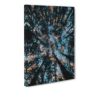 Redwood Forest California Canvas Print | Gallery Wrapped 30mm Frame Wall Art | 20x14 inches | Ready to Hang | Modern Landscape Picture | Living Room Bedroom Lounge Office