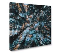 Redwood Forest California Canvas Print | Gallery Wrapped 30mm Frame Wall Art | 20x20 inches | Ready to Hang | Modern Landscape Picture | Living Room Bedroom Lounge Office