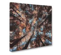 Redwood Forest California Canvas Print | Gallery Wrapped 30mm Frame Wall Art | 20x20 inches | Ready to Hang | Modern Landscape Picture | Living Room Bedroom Lounge Office