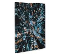 Redwood Forest California Canvas Print | Gallery Wrapped 30mm Frame Wall Art | 30x20 inches | Ready to Hang | Modern Landscape Picture | Living Room Bedroom Lounge Office