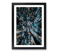 Redwood Forest California Framed Print | A2 Black Framed Wall Art | Ready to Hang | Modern Landscape Picture | Living Room Bedroom Lounge Office