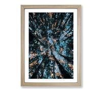 Redwood Forest California Framed Print | A2 Oak Framed Wall Art | Ready to Hang | Modern Landscape Picture | Living Room Bedroom Lounge Office