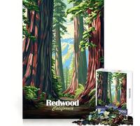 Redwood Forest California Illustration 1000 Piece Jigsaw Puzzle for Teenagers Strong Logic Toy Serene Time Clear Edge Creative Gift (38x26cm)