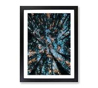 Redwood Forest California Modern Framed Print | A4 Black Framed Wall Art | Ready to Hang | Modern Landscape Picture | Living Room Bedroom Lounge Office