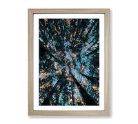 Redwood Forest California Modern Framed Print | A4 Oak Framed Wall Art | Ready to Hang | Modern Landscape Picture | Living Room Bedroom Lounge Office