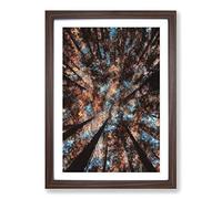 Redwood Forest California Painting Framed Print | A2 Walnut Framed Wall Art | Ready to Hang | Modern Landscape Picture | Living Room Bedroom Lounge Office