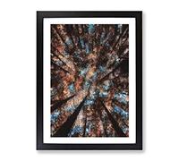 Redwood Forest California Painting Modern Framed Print | A2 Black Framed Wall Art | Ready to Hang | Modern Landscape Picture | Living Room Bedroom Lounge Office