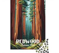 Redwood National Park 1000 Piece Jigsaw, 52x38cm/1000pcs