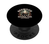 Redwood National Park Bear California Wilderness Vintage PopSockets Adhesive PopGrip