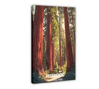 Redwood National Park Canvas Poster Bedroom Decor Landscape Office Room Decor Gift 16x24inch(40x60cm)