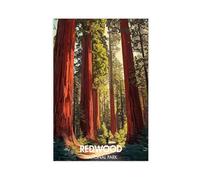 Redwood National Park Canvas Poster Wall Art Decor Print Picture Paintings for Living Room Bedroom Decoration 12x18inch(30x45cm)
