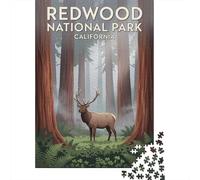 Redwood National Park Elk 52x38cm 1000pcs Jigsaw Puzzle, 1000 Piece