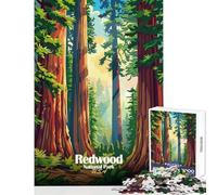 Redwood National Park Illustration 1000 Piece Jigsaws for Teenagers Boost Memory Retention Effectively Calming Relaxing Leisure Game (38x26cm)
