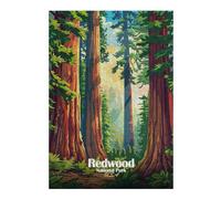 Redwood National Park Illustration Jigsaw Puzzle for Adults, 300 Piece