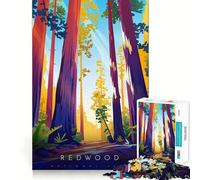 Redwood National Park Jigsaw Puzzle for Teenagers 1000 Pieces Boost Memory Relaxing Fun Premium Cut Stylish Gift (38x52cm)