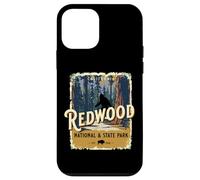 Redwood National Park State USA Park Giant Redwoods Souvenir Case for iPhone 12 mini