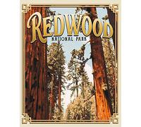 Redwood National Park - Wall Decor Art Print - 8x10 unframed print of a US national park - Great gift for outdoors and nature enthusiasts