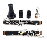 Redwood Professional Clarinet A Rosewood Silvering/Ebony Gold-plated A-keys Beginner Clarinet (Color : Ebony)
