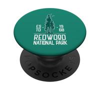 Redwood Trees Redwood National Park California Vintage PopSockets Adhesive PopGrip