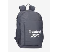 Reebok Ashland Backpack, Dual Compartment, Grey, 30 x 48 x 15 cm, 21.6 L, Polyester by Joumma Bags
