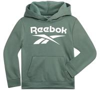 Reebok Boys Sweatshirts - Performance Fleece Pullover Hoodies for Boys - Cosy Graphic Hoodies for Gym and Everyday Use, Olive Leaf It To Me, 10