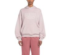 Reebok CL AE BIG LOGO FT HOODIE