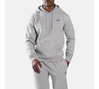 Reebok ID 2-Col Logo Cotton Men's Grey Hooded Sweatshirt