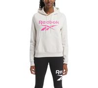 Reebok IDENTITY BIG LOGO FLEECE HOODIE