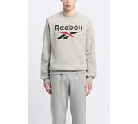 Reebok Identity Big Logo Medium Grey Heather/vector Red size L | Hoodies Outlet | Men | Gray L