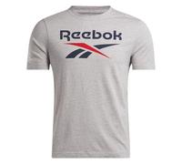 Reebok Men's Identity Big Logo TEE T-Shirt, MGREYH/VECNAV/VECRED, XL