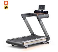 Reebok Z-Tech Treadmill (AC Motor)
