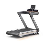 Reebok Z-Tech Treadmill (AC Motor)