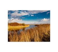 Reed at the low water,Jigsaw Puzzles for Adults 1000 Piece, Classic Puzzle Teens Boys Girls Puzzles Sturdy Tight Fitting Pieces,Letters On Back for Ideal Challenging And Gift(75x50cm)-AR55