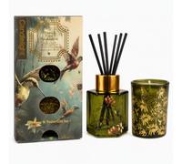 Reed Diffuser & Candle Gift Set - Hummingbird Botanical Design | Luxury home fragrance duo in olive green glass, beautifully boxed for birthdays, housewarmings & Christmas