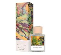 Reed Diffuser Set, 100ml(3.38 fl oz) Scented Diffuser with 5 Stick, Natural Essential Oil Reed Diffusers for Home Bathroom Office Shelf Air Freshener, Beautiful Home Décor Gift (Forest Cabin)