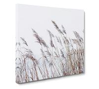 Reeds Blowing in the Wind Canvas Print | Gallery Wrapped 30mm Frame Wall Art | 14x14 inches | Ready to Hang | Modern Picture | Living Room Bedroom Lounge Office