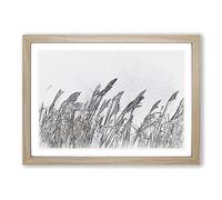 Reeds Blowing in The Wind in Abstract Framed Print | A2 Oak Framed Wall Art | Ready to Hang | Abstract Fantasy Picture | Living Room Bedroom Lounge Office