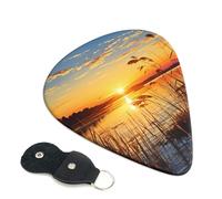 Reeds by the river Guitar Picks 6 Pcs, 0.46mm Thickness Celluloid Plectrum with Leather Picks Holder, Personalized Guitar Pick for Bass Electric Acoustic Guitars Lovers Gift