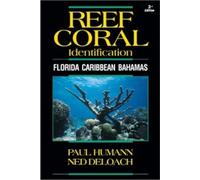 Reef Coral Identification: Florida Caribbean Bahamas: 03 (Reef Set (New World))