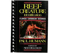 Reef Creature Identification: Florida, Caribbean, Bahamas