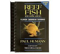 Reef Fish Identification: Florida, Caribbean, Bahamas