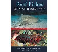 Reef Fishes of South-East Asia
